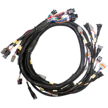 Link-Terminated Engine Harness GM LS GEN3/4